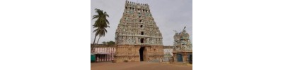219. திருத்தினைநகர்